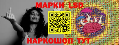 крисы Аргун