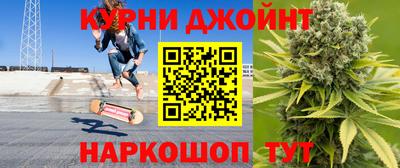 крисы Аргун