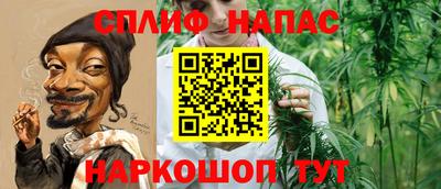 крисы Аргун