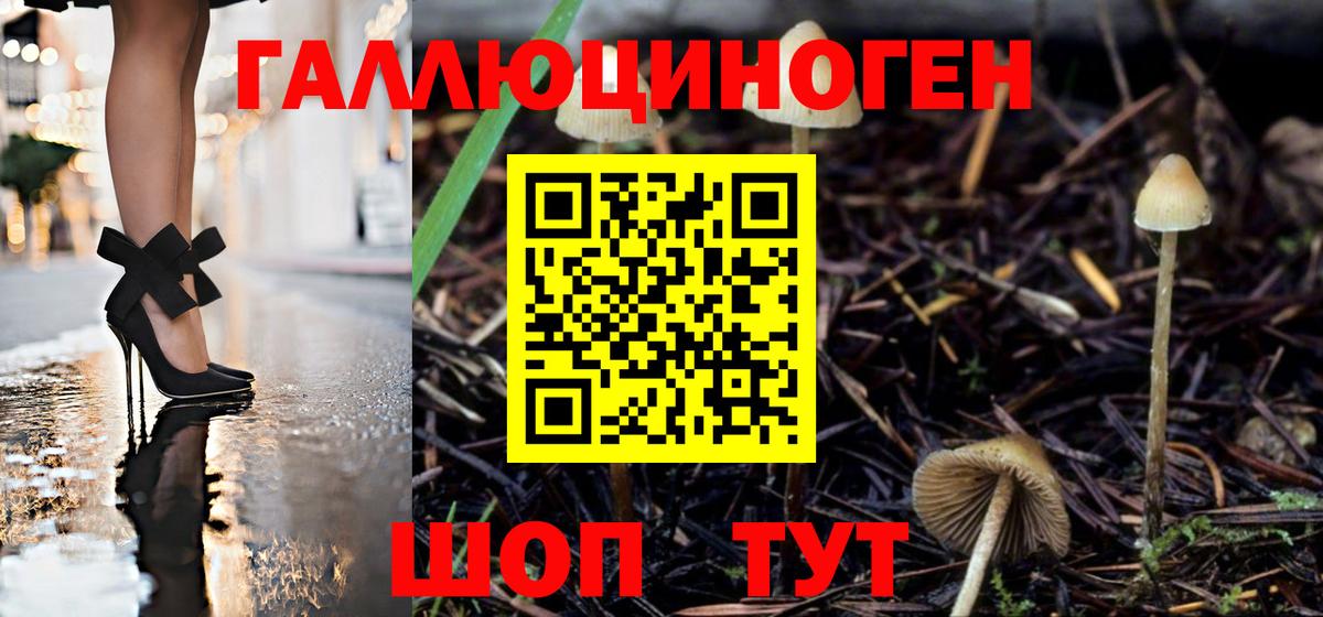 Галлюциногенные грибы Psilocybine cubensis  Будённовск  Псилоцибиновые грибы Magic Shrooms 