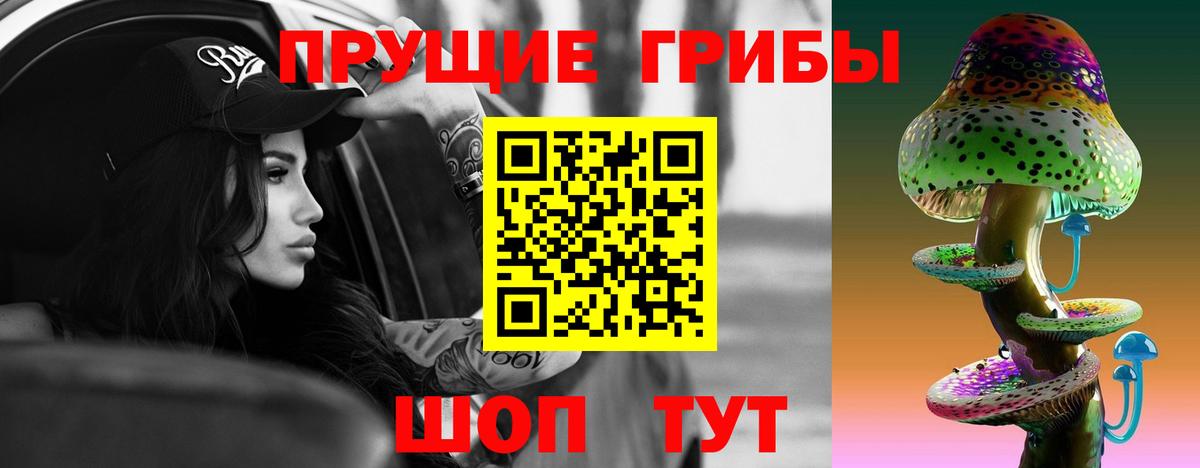 Псилоцибиновые грибы прущие грибы  Вход с VPN  Псилоцибиновые грибы Psilocybe  Будённовск 